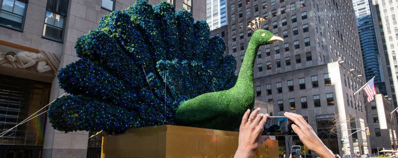NBCUniversal объявила дату запуска стриминг-сервиса Peacock