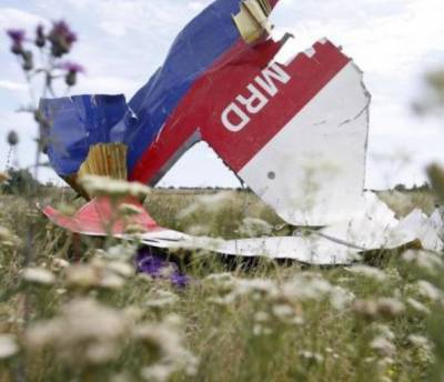 Кинопроект о крушении самолета MH17 отобран на индустриальный форум фестиваля в Копенгагене
